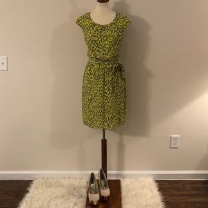 Signature by Robbie Bee Dress